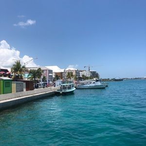 Meet your Posher, Eva